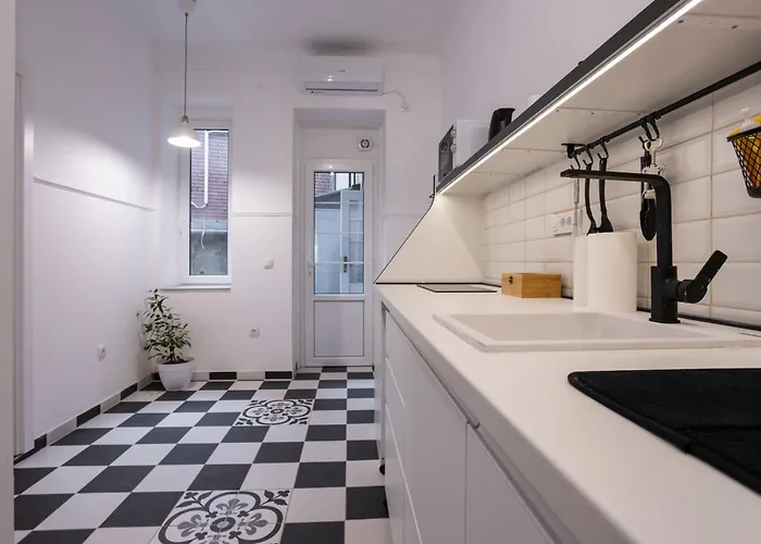 Black & White Delight Belgrad